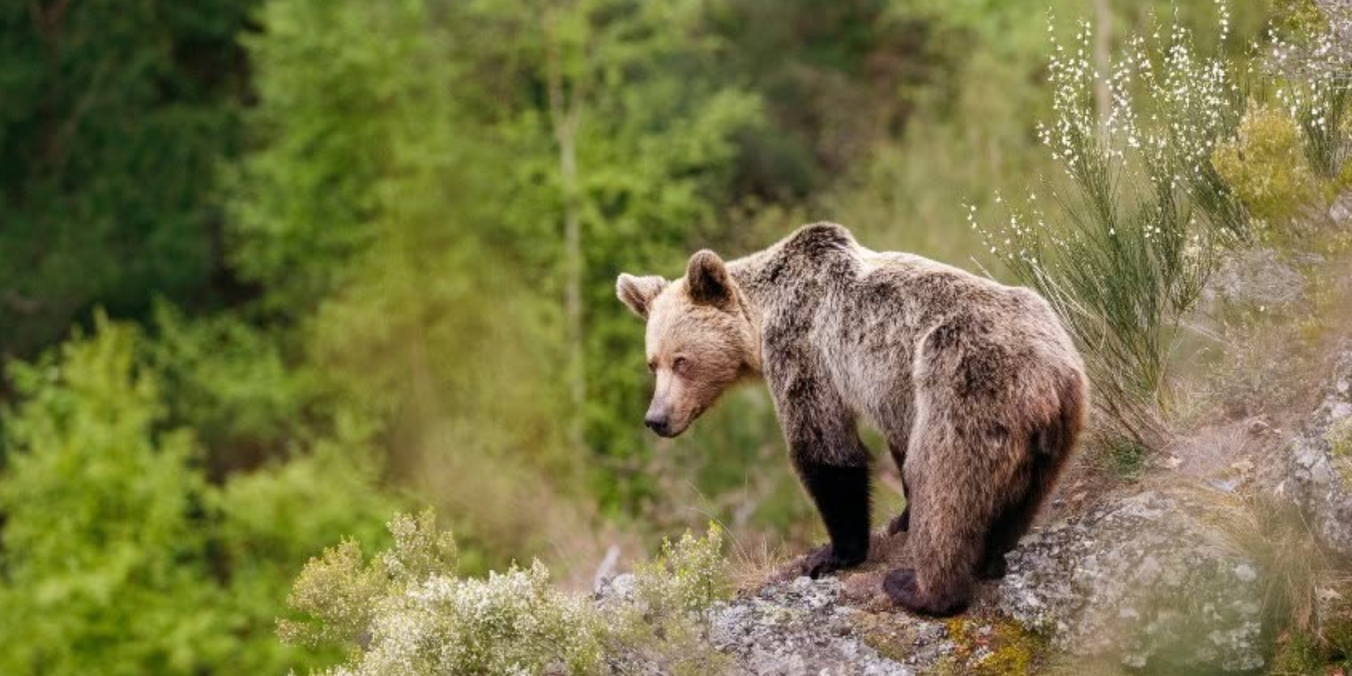 Exposición fotográfica "Asturias, naturalmente 2026"
