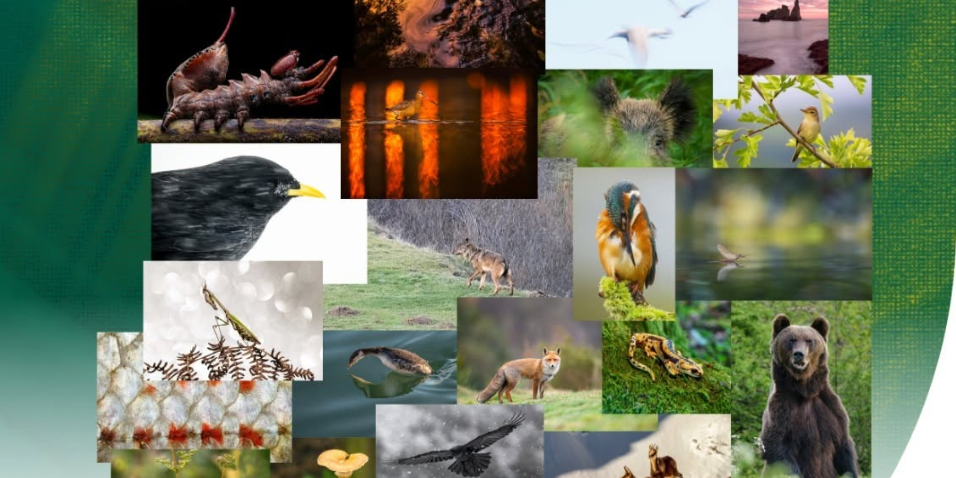 Exposición fotografía "Asturias, naturalmente 2026"