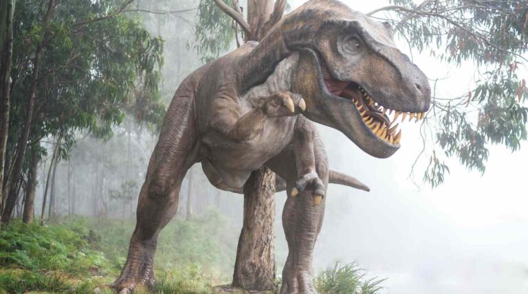 Imagen de un dinosaurio de un parque temático