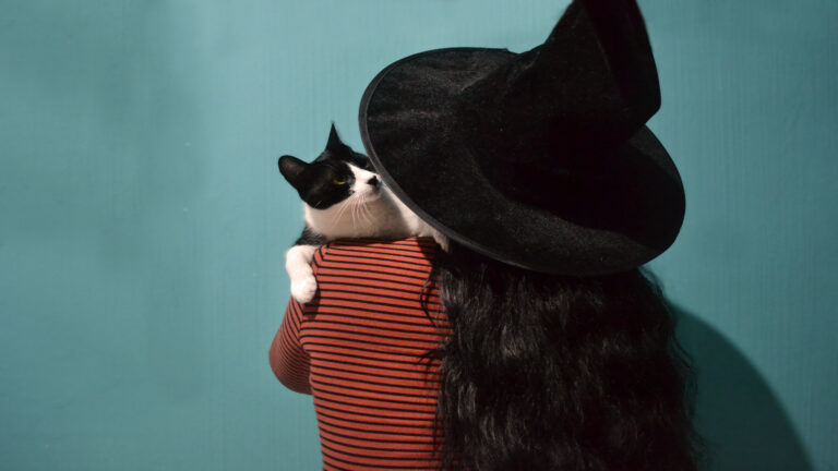 Bruja Halloween Monstruos