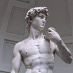 david