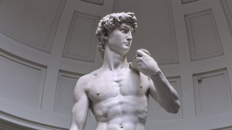 david