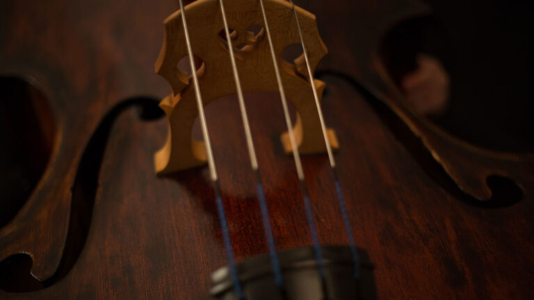 violin
