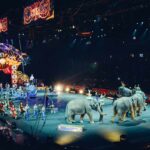 circo
