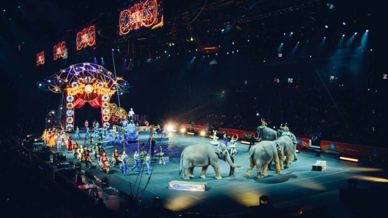 circo