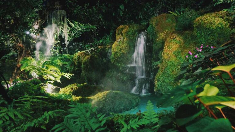 Naturaleza