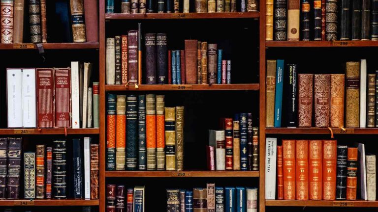 literatura