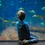acuario