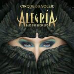 cirque du soleil