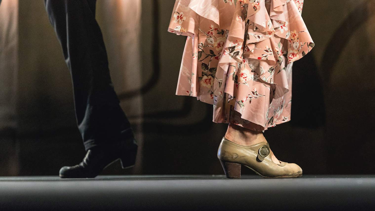 flamenco