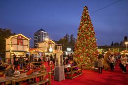 Mercado Navidad Castellana